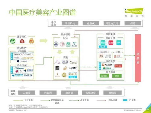 醫(yī)美新紀(jì)元 艾瑞咨詢《2020年中國(guó)醫(yī)療美容行業(yè)洞察白皮書(shū)》深度解析